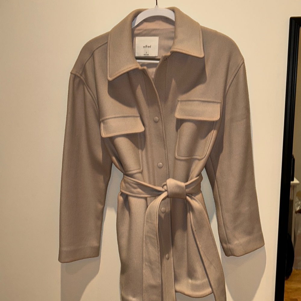Aritzia coat